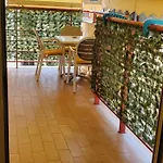 Standart Apartment